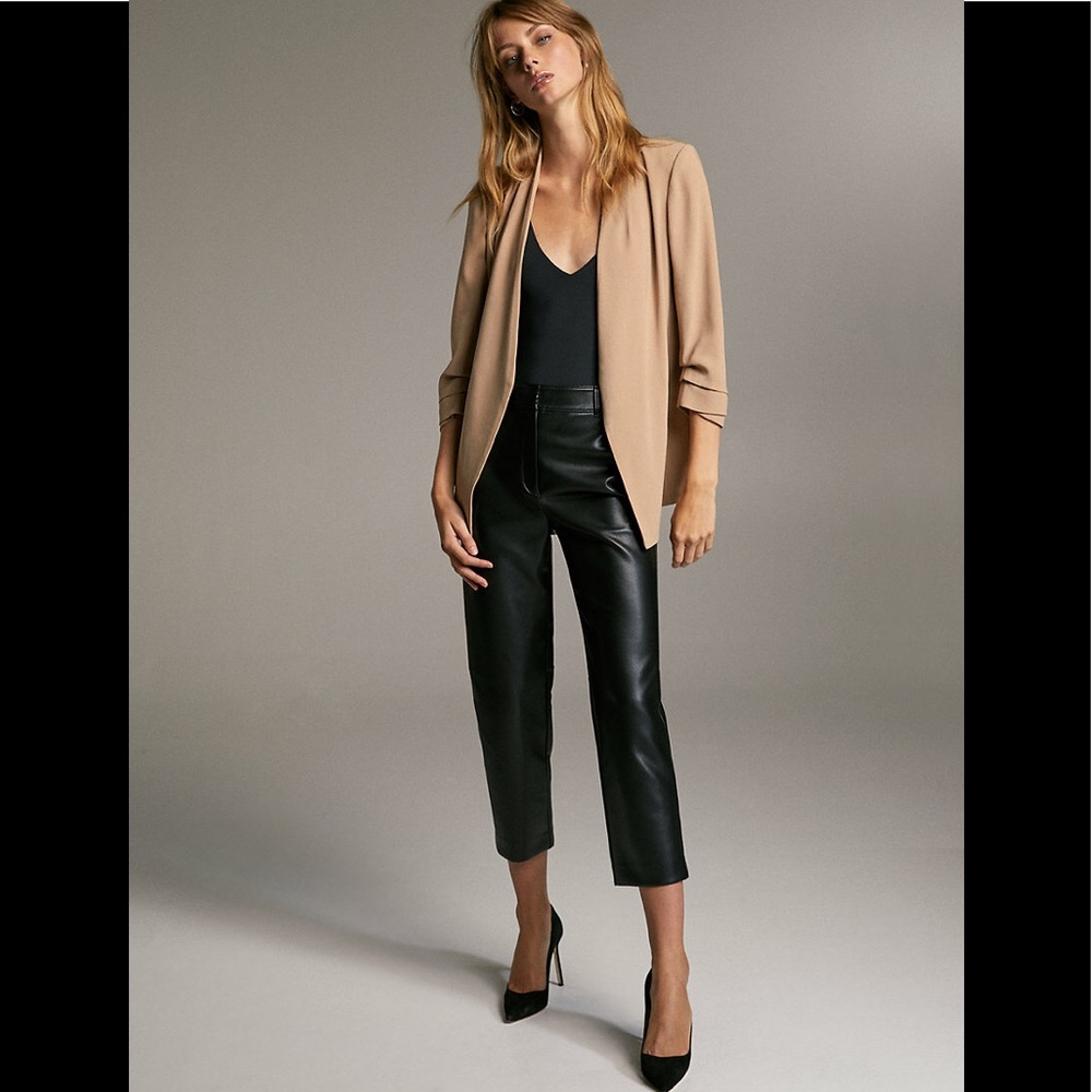 Aritzia Babaton Power Blazer in Sierra Biege Size 14